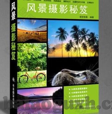 91九色麻豆-魅力多元，九色麻豆百态生辉——探寻色彩与时尚的交汇