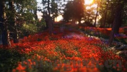 成人免费视hd视频-成人免费视hd视频，理性审视与合理使用