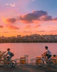 东京热一区二区-东京热一区二区，都市文化的独特魅力与多元体验