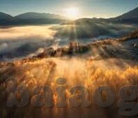 麻d传媒2022国产大象app-麻d传媒2022国产大象app，探索国产视频内容的创新与多样性