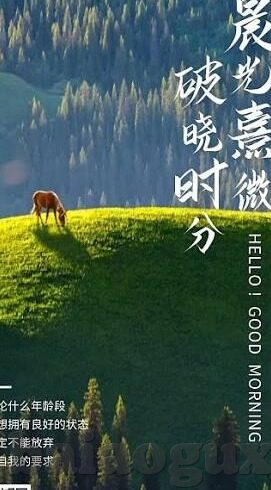 麻豆传媒免费app-触手可及的娱乐新境界，麻豆传媒免费app的日常体验