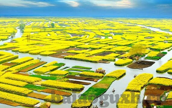 麻豆乐园APP-麻豆乐园APP，打造休闲娱乐的新境界