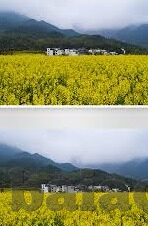 麻豆md传媒林思妤-揭开麻豆MD传媒中林思妤的崭新视角