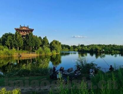全球华人成人短视频-全球华人成人短视频的多元文化视角与社交新风尚